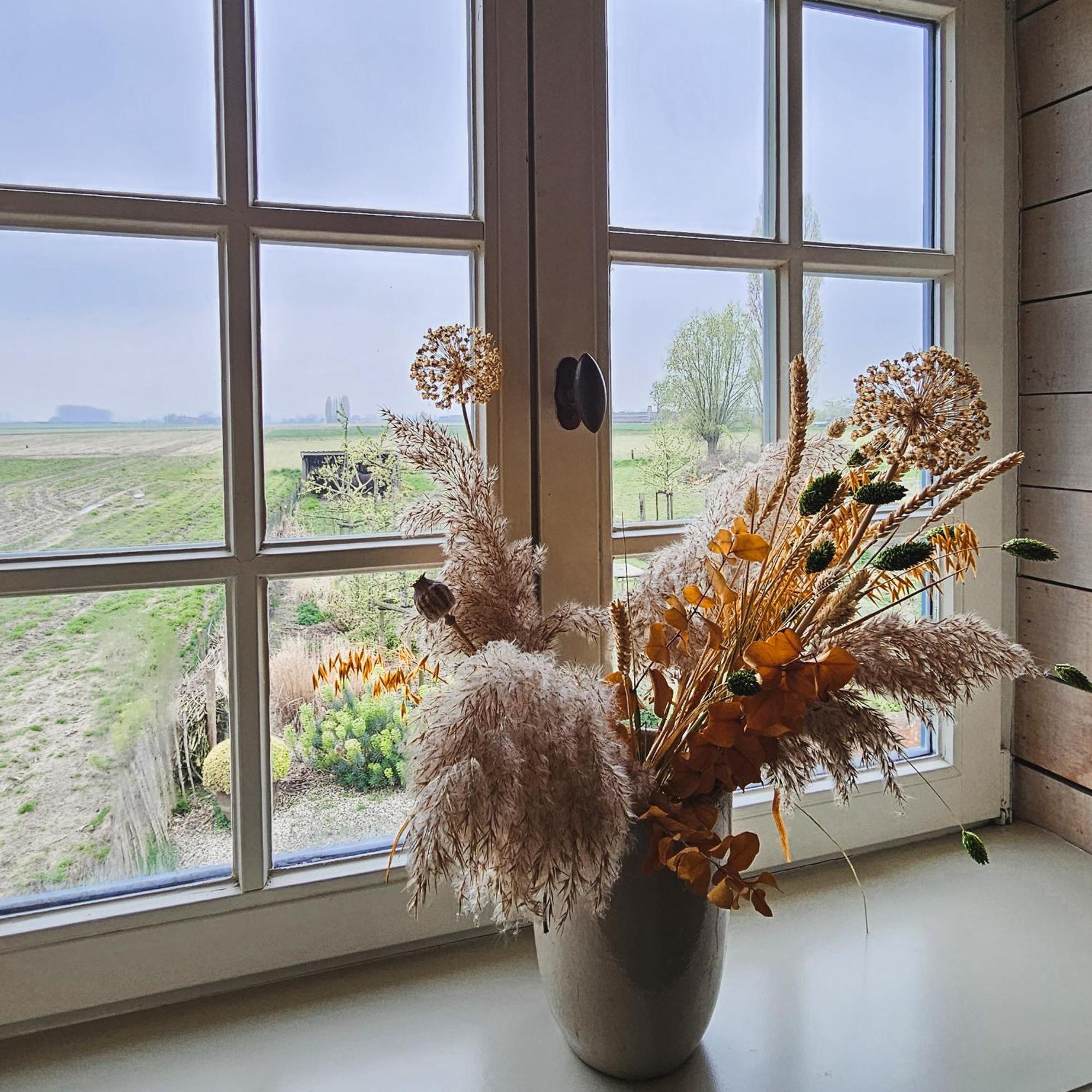 Boutique B&B Droomkerke Ruiselede Luaran gambar