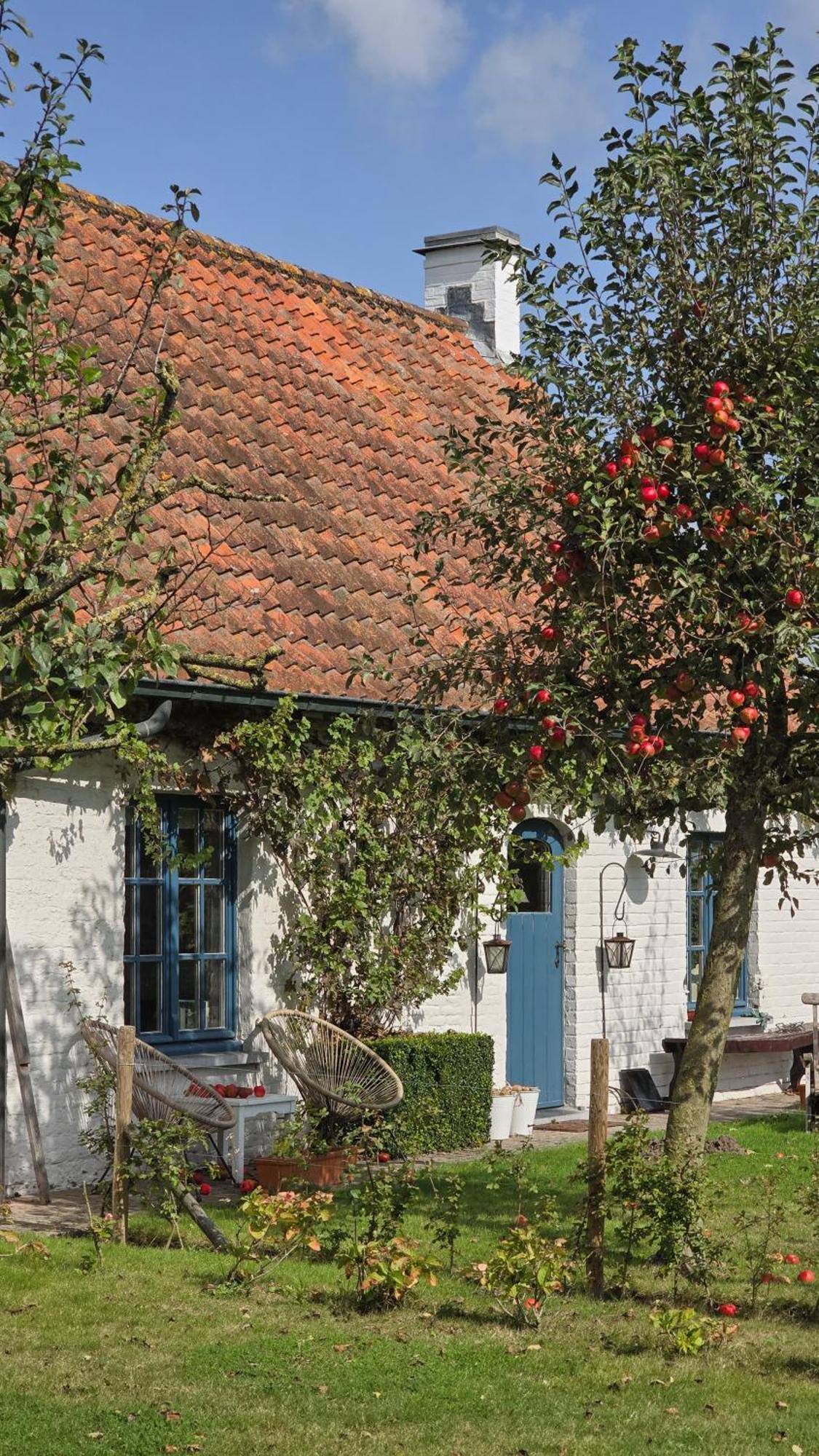 Boutique B&B Droomkerke Ruiselede Luaran gambar